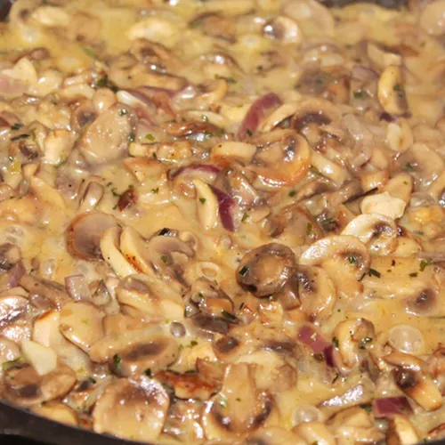Pilzgratin